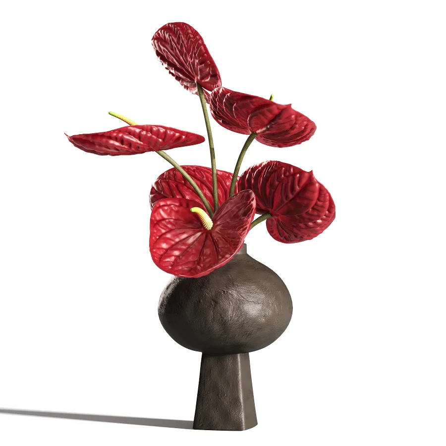 Burgundy and Olive Anthurium 61 Image 4