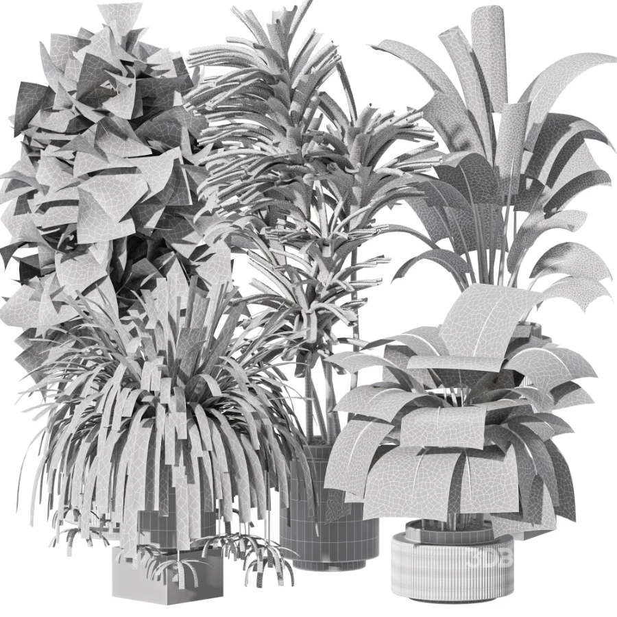Indoor plants set Image 5