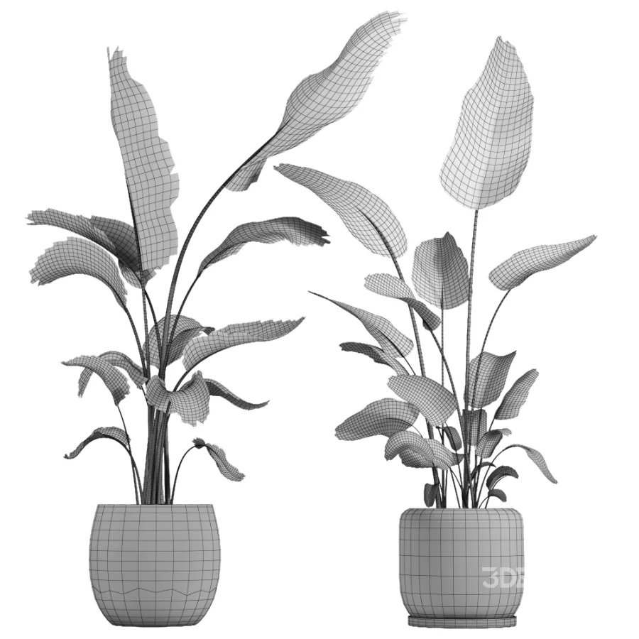 indoor plant 073 Image 4