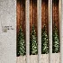 Wall with plant 12 - Thumbnail 3