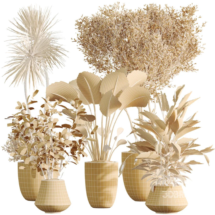 AV Indoor Plants Set 482 Peace Lily Banana Olive Yucca Orange Image 8