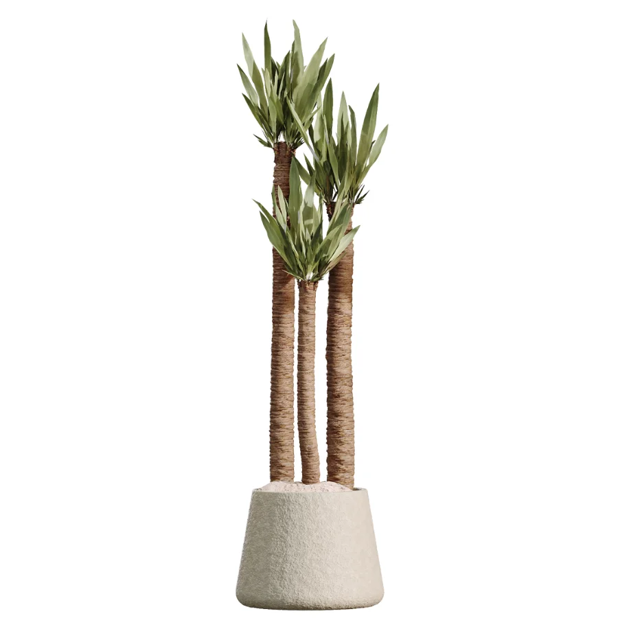 AV Indoor Plants Set 480 Olive Palm ParadiseBird Yucca Image 3