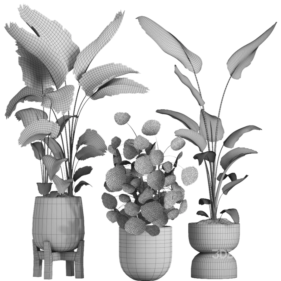indoor plant 066 Image 4