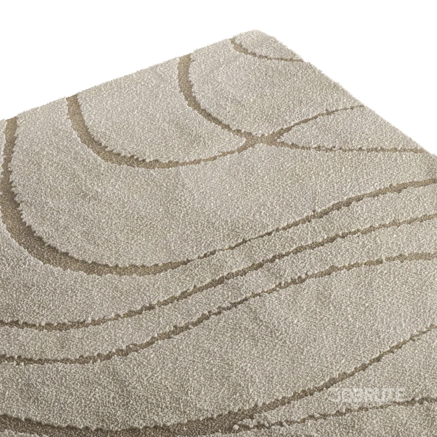 Carpet 13 Image 1