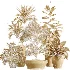 AV Indoor Plants Set 475 Spathiphyllum Wallisi and Chemlali Olive and Dracaena Cane Dragon and Ficus Cyathistipula and Areca Palm - Thumbnail 8