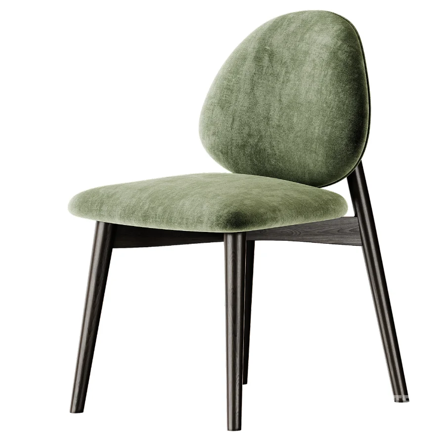 Aren Chair By Saloni Image 2