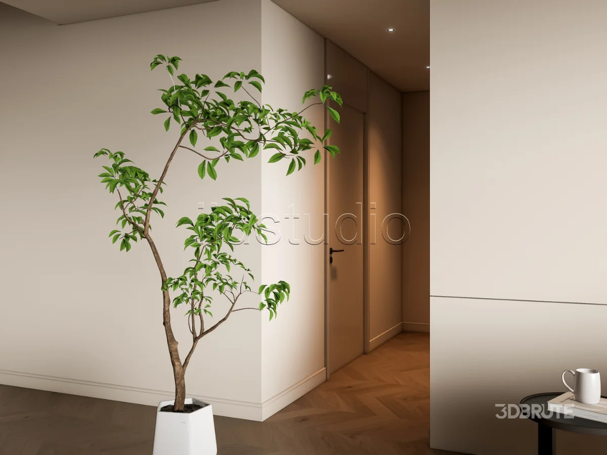 LIVING ROOM 97 Image 16