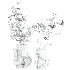 Bouquet - Thumbnail 4