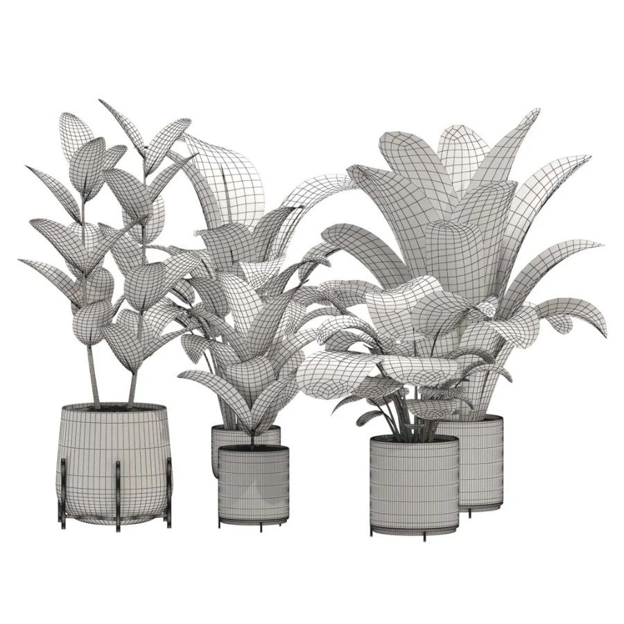 indoor-plant-015 Image 2