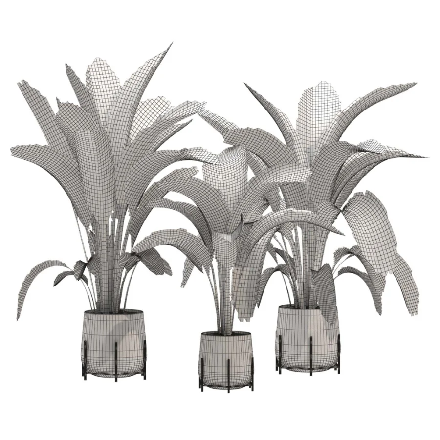 indoor-plant-017 Image 3