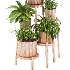 Planting Stand 01 - Thumbnail 6