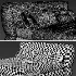 Puppet Double Bed by Ditreitalia - Thumbnail 3