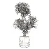 indoor-plant-022 - Thumbnail 3