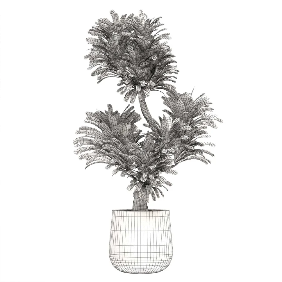 indoor-plant-022 Image 3