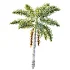 AV Plant Roystonea Regia Palm Tree 01 - Thumbnail 3
