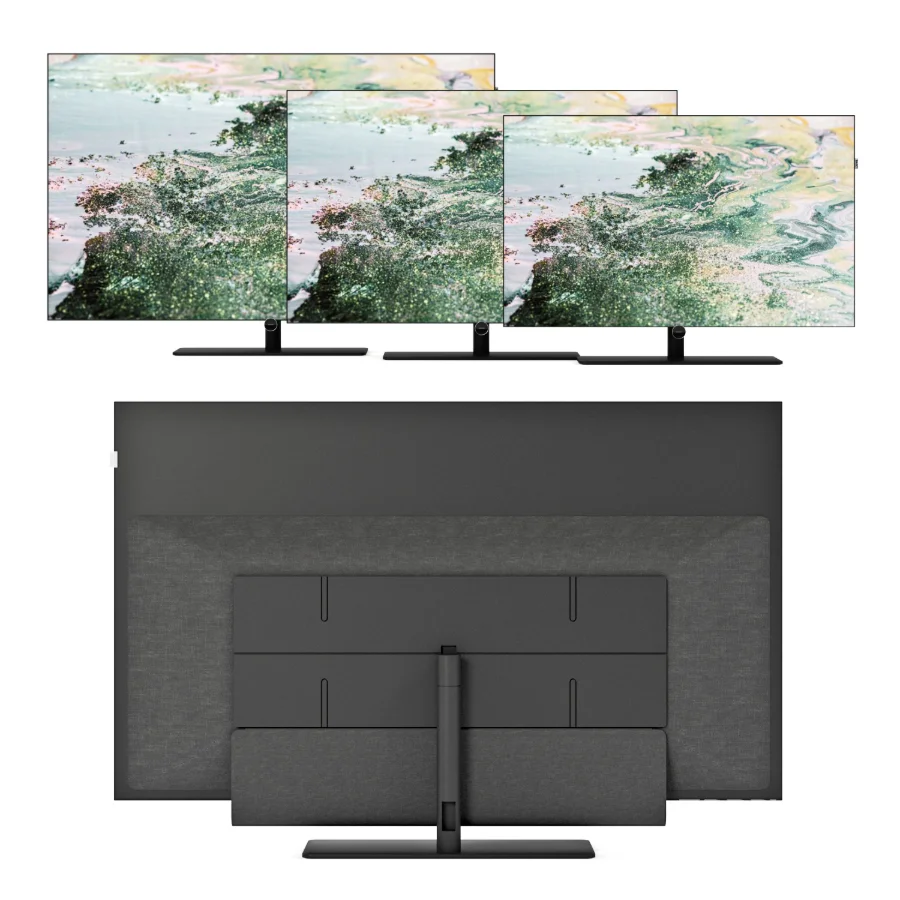 Loewe Bild I Image 2