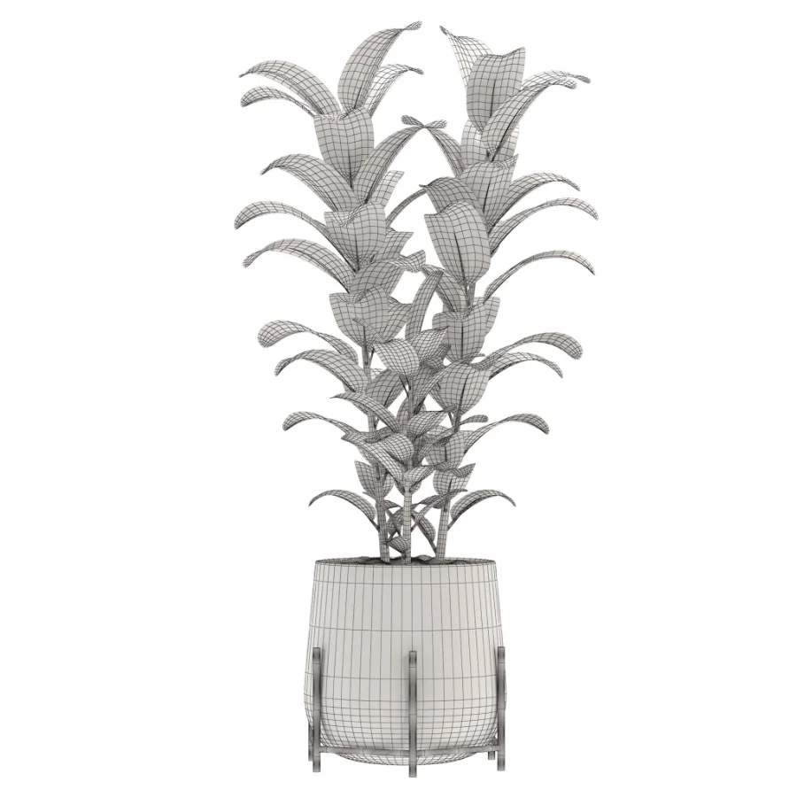 indoor-plant-009 Image 3