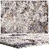 4K Carpet 05 - Thumbnail 1