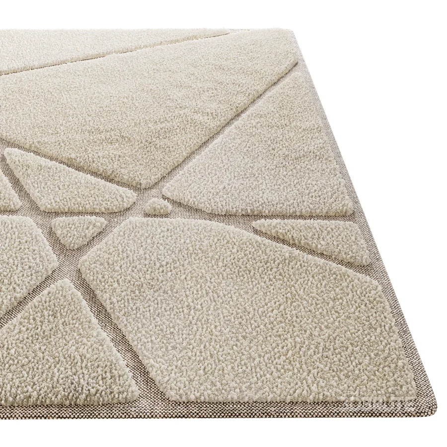 Carpet 19 Image 3