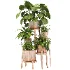 Planting Stand 01 - Thumbnail 4