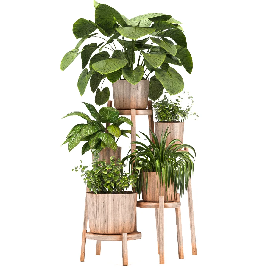 Planting Stand 01 Image 4
