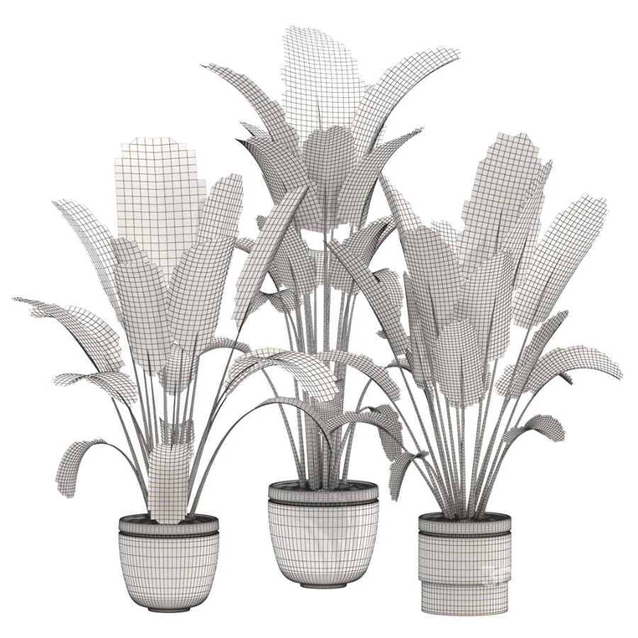 indoor-plant-028 Image 3