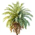 AV Plant Phoenix Sylvestris Palm Tree 01 - Thumbnail 1