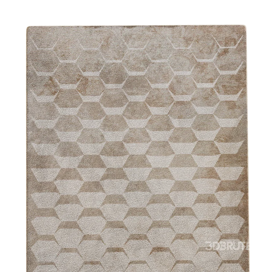 Carpet 17 Image 2