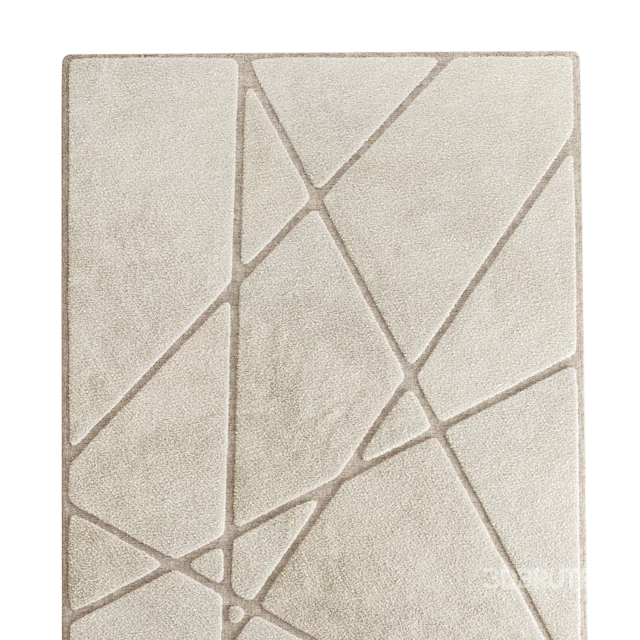 Carpet 19 Image 2