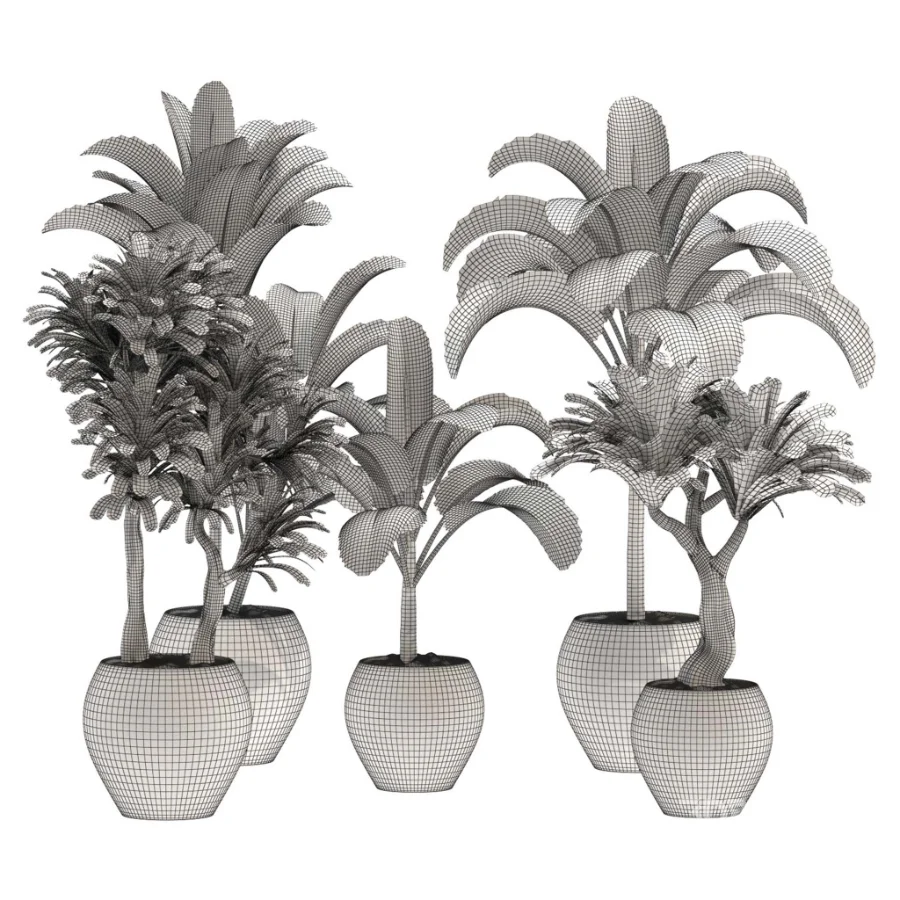 indoor-plant-026 Image 4