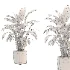 indoor-plant-004 - Thumbnail 3