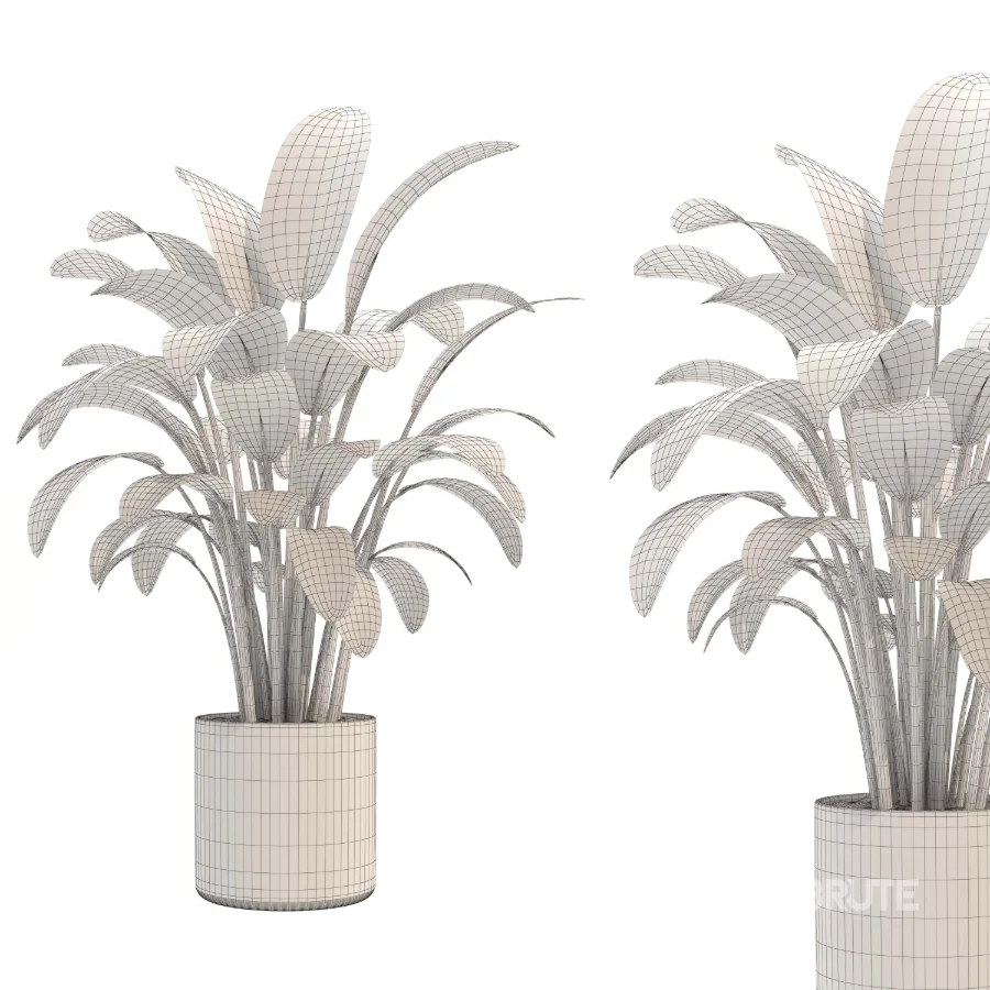 indoor-plant-004 Image 3