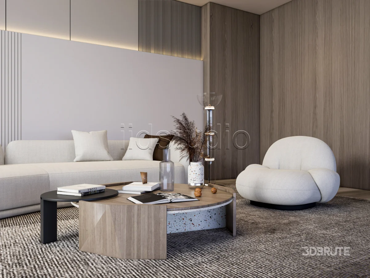LIVING ROOM 43 Image 11
