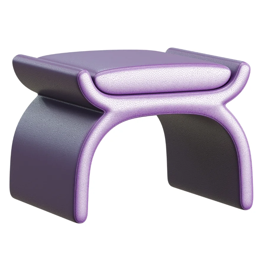 Elegant Napa Pouf Image 3