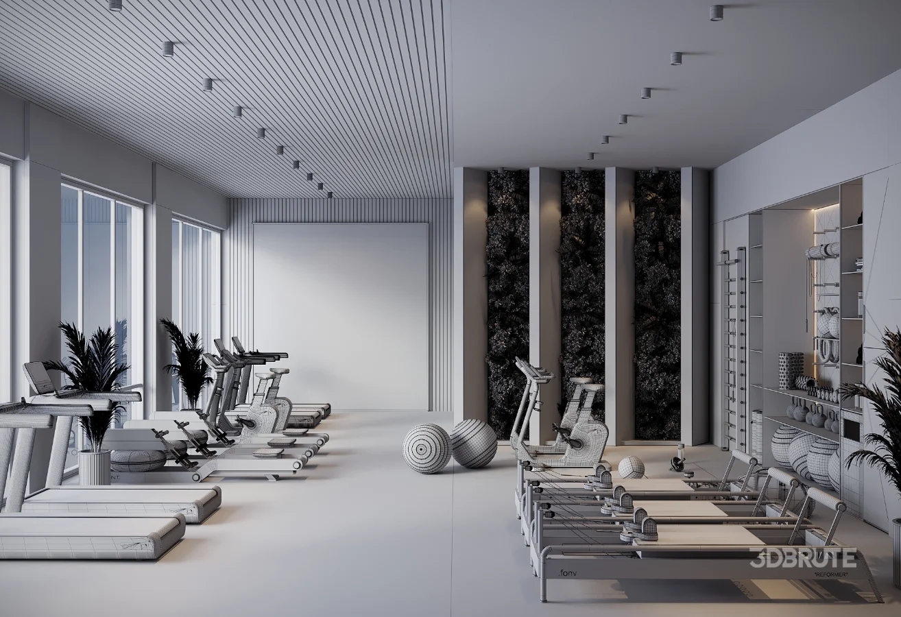 Modern Luxury Home Gym Interior 01 Image 6