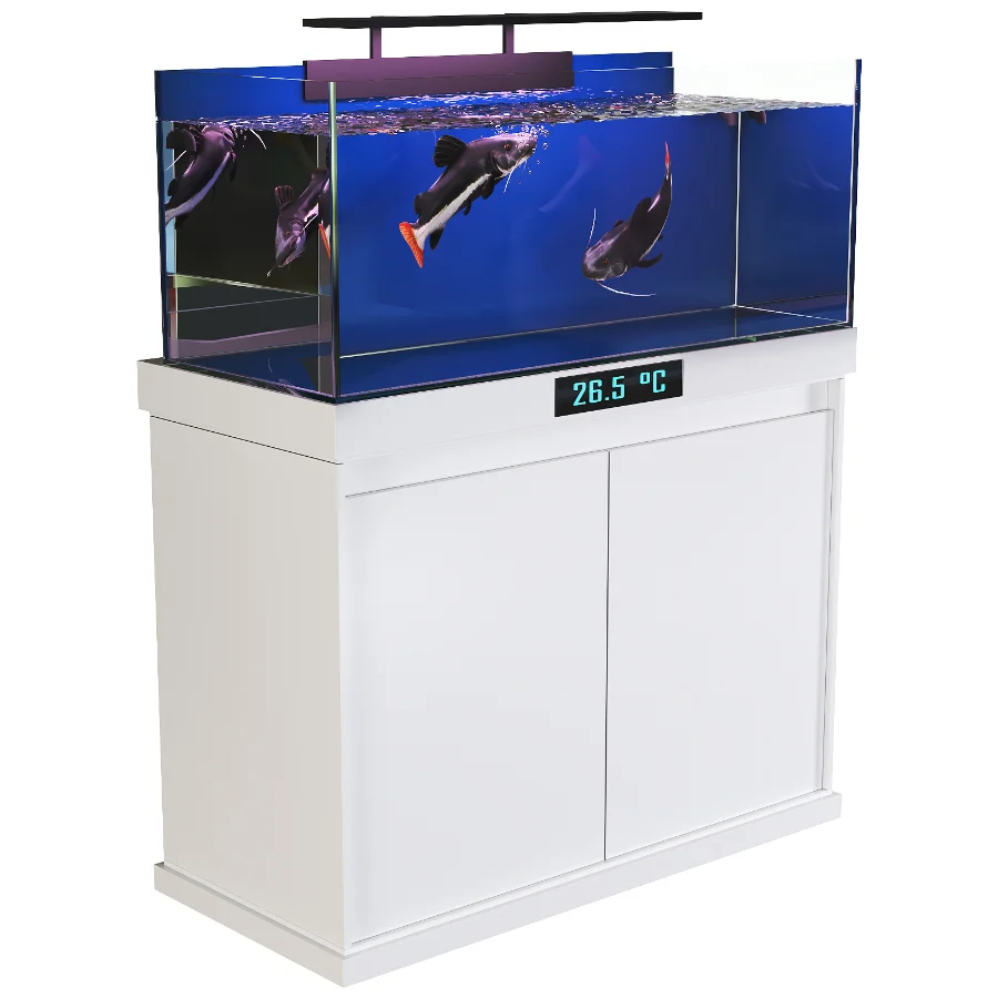 Redtail Fish Aquarium Tank Image 2