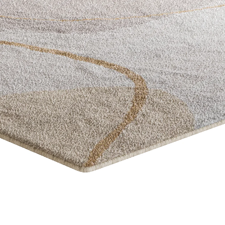 Carpet 18 Image 4