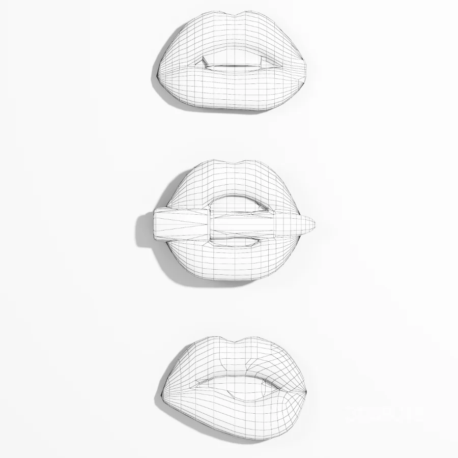 Lips Wall Decor Image 5