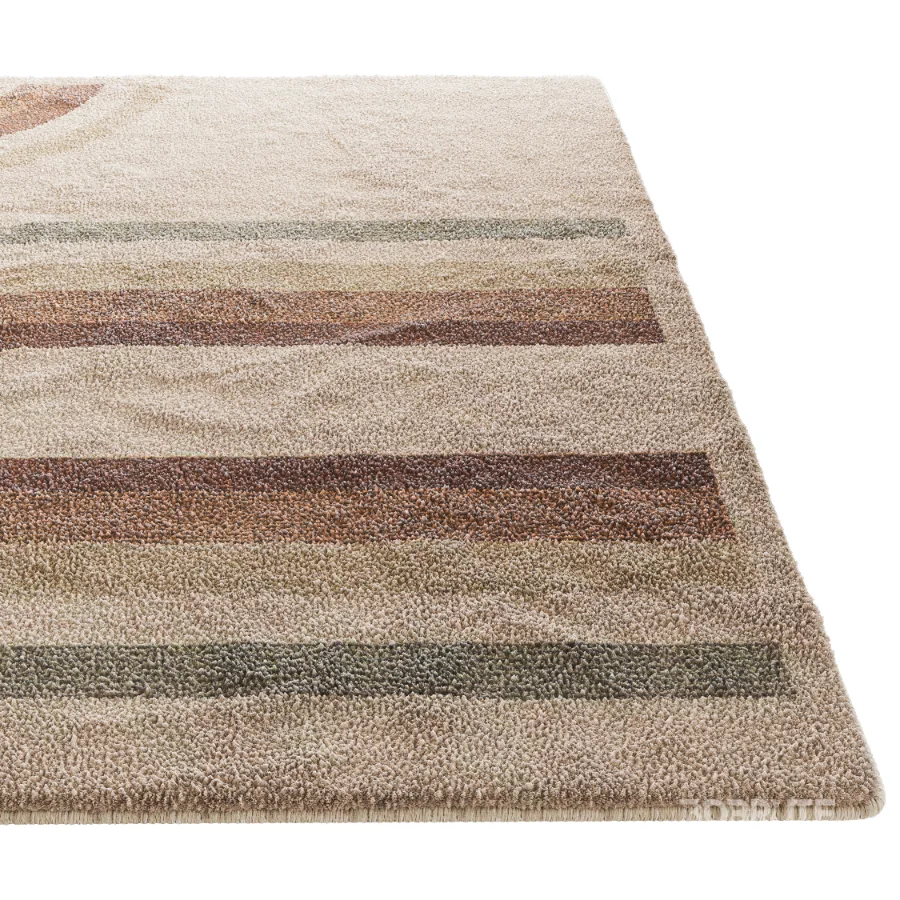 Carpet 20 Image 3