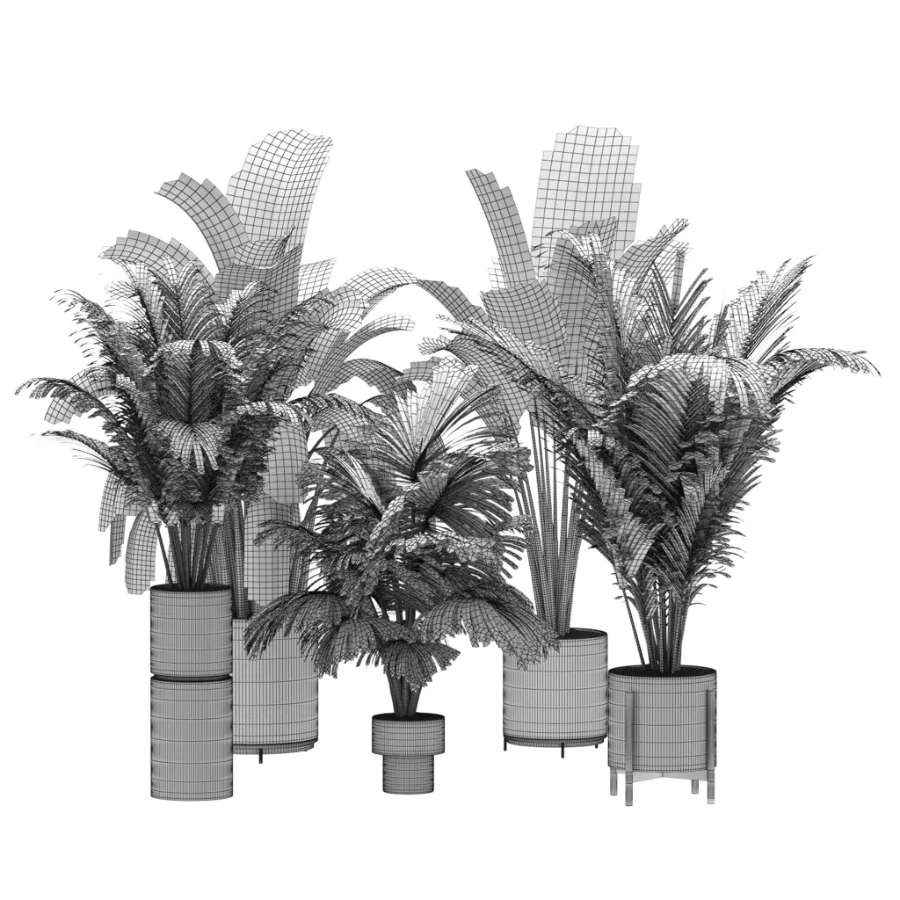 indoor-plant-023 Image 3