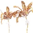 AV Plant Areca Catechu 6 Palm Trees 02 - Thumbnail 11