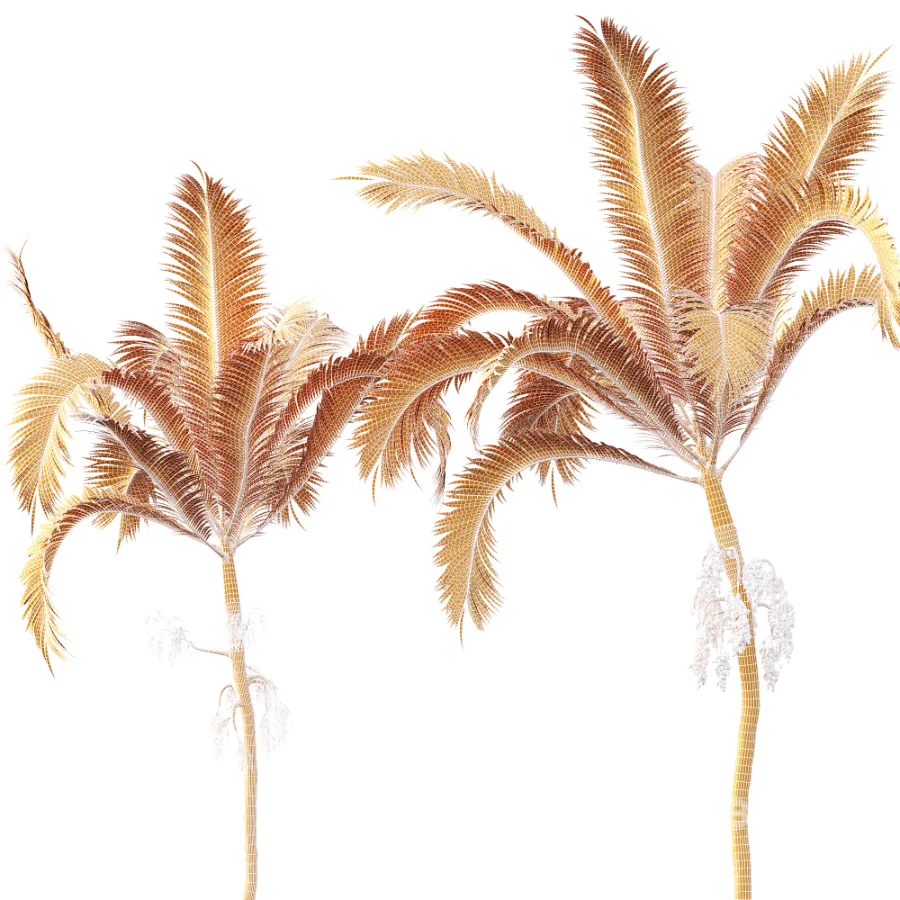 AV Plant Areca Catechu 6 Palm Trees 02 Image 11