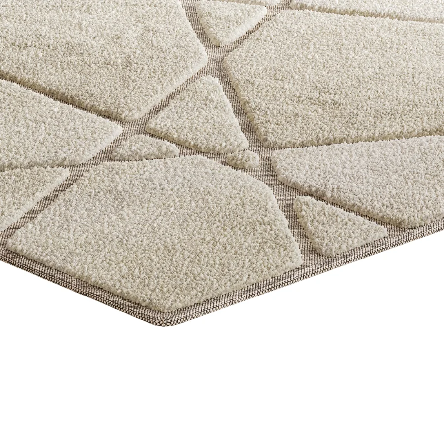 Carpet 19 Image 4
