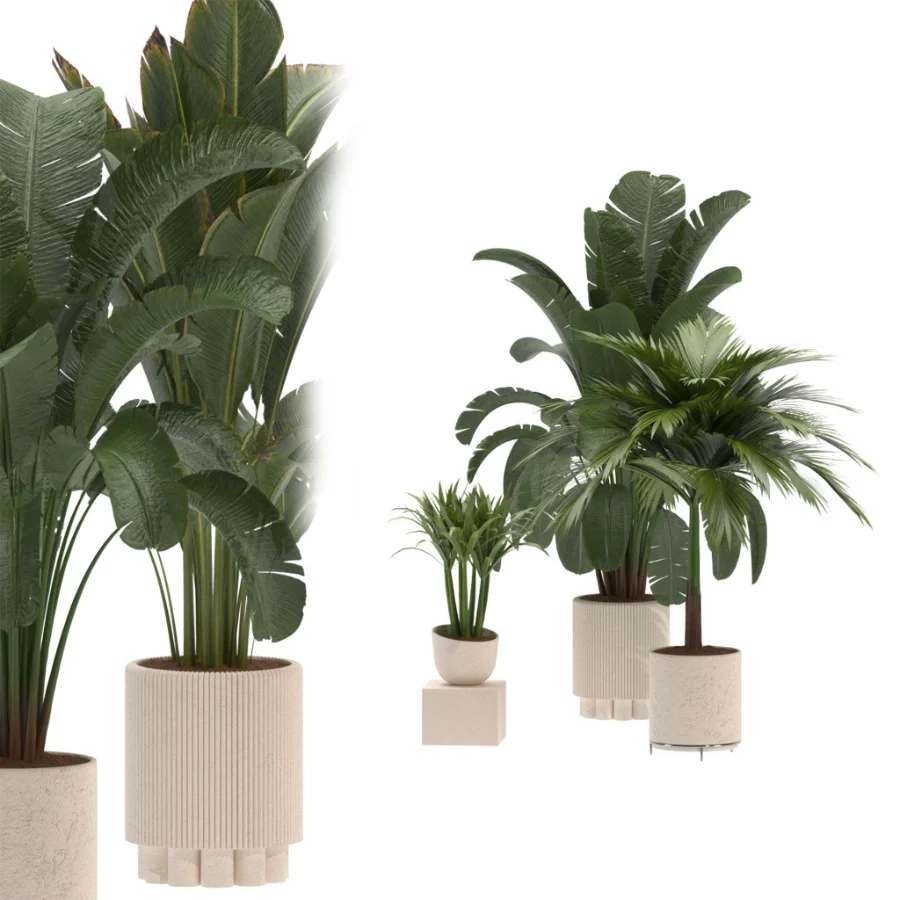 indoor-plant-024 Image 1