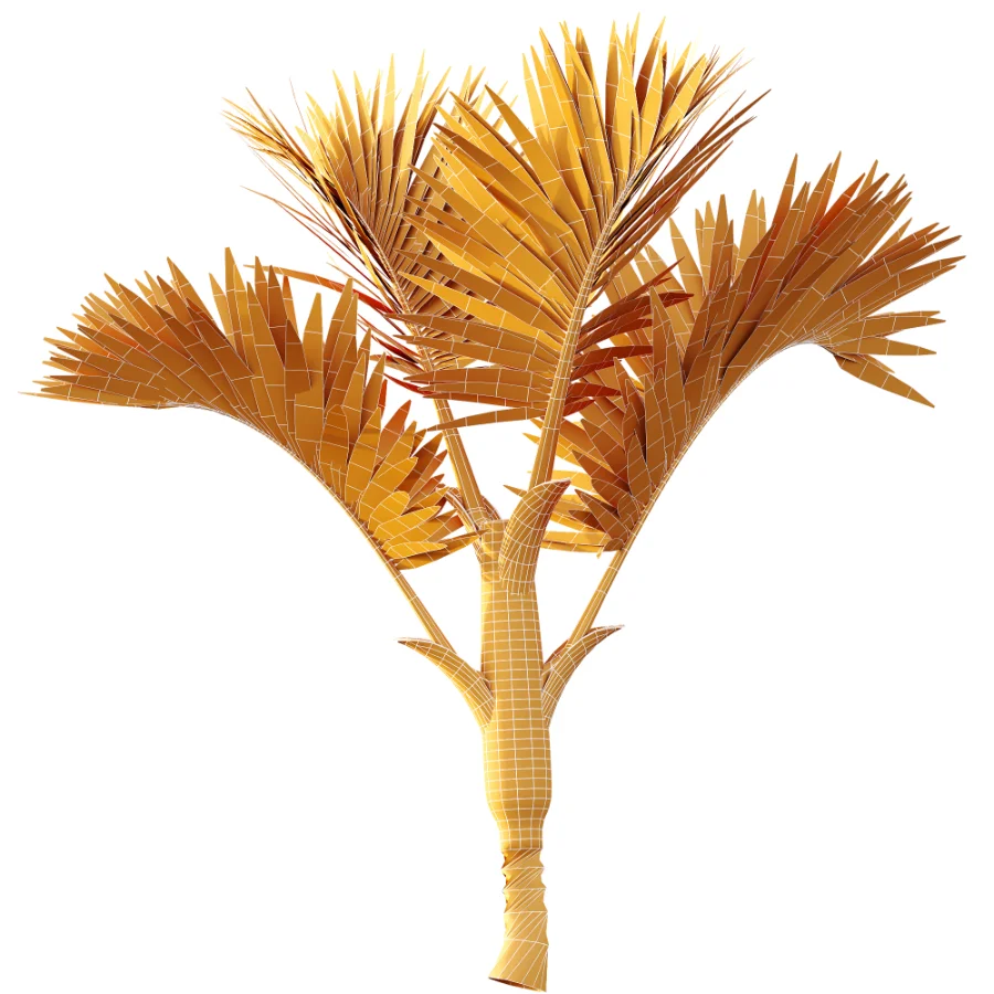 AV Plant Cyrtostachys Renda Palm Tree 03 Image 10