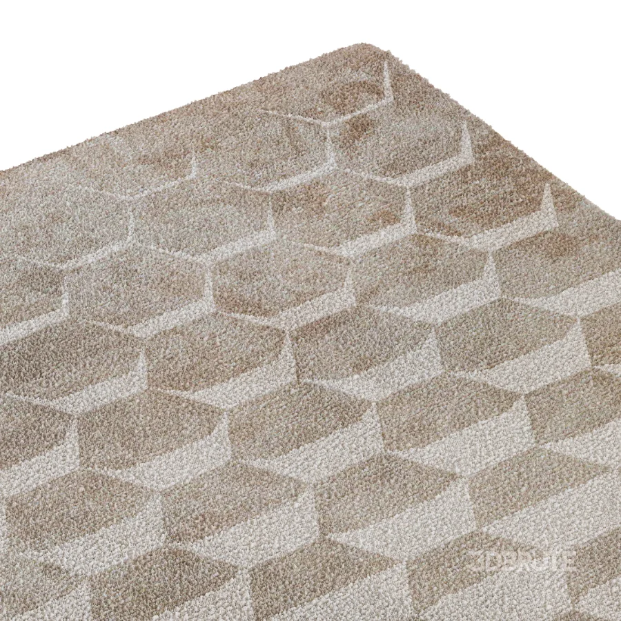 Carpet 17 Image 1