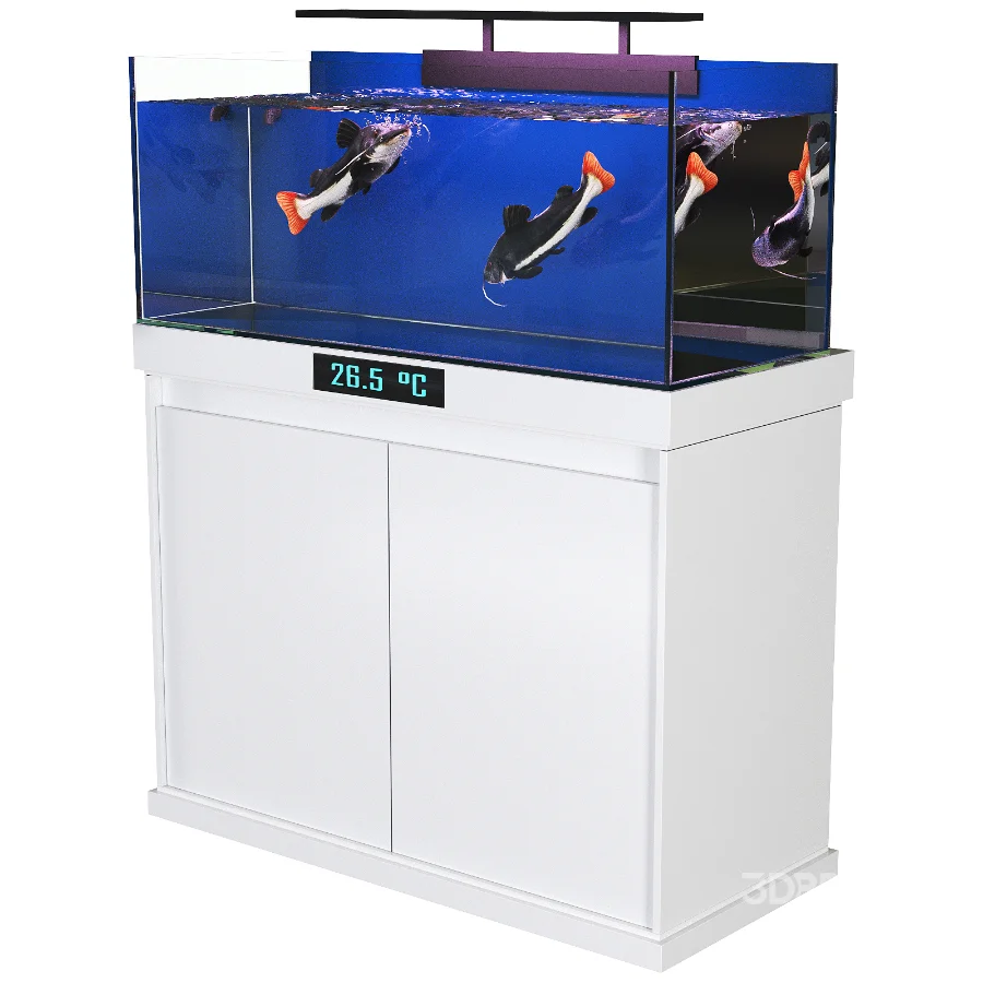 Redtail Fish Aquarium Tank Image 4