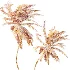 AV Plant Cocos Nucifera Palm Tree 01 - Thumbnail 8