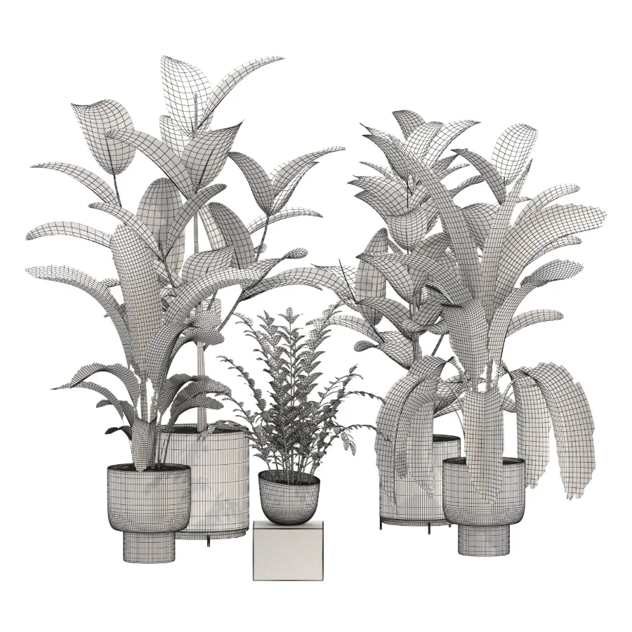 indoor-plant-018 Image 4