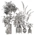 indoor-plant-020 - Thumbnail 4